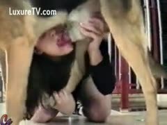 Slave girlfriend using a toy and sucking a dog